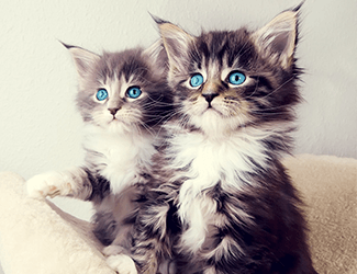 低空無人機測繪：高效、精確、廣泛應(yīng)用的新興技術(shù)